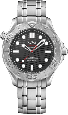 Omega Seamaster 21030422001002
