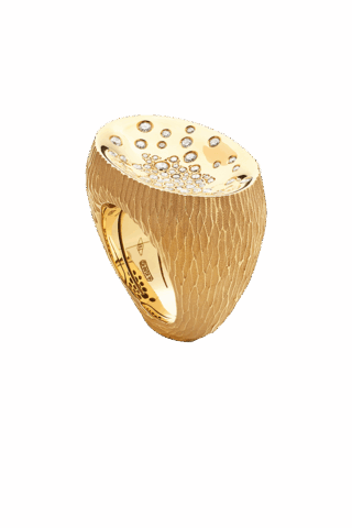 Antonini Etna Collection A0180G01