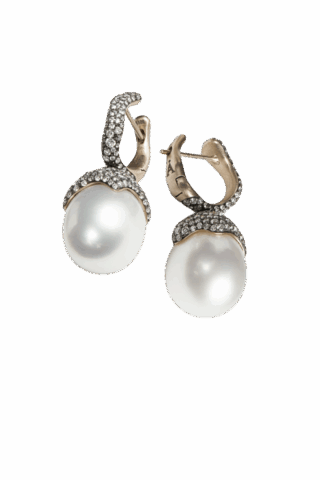 Antonini Extraordinaire Collection O092BN15-03