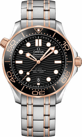 Omega Seamaster 21020422001001