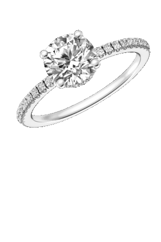 Da Vinci Diamonds Forever Collection RI005 RI369-DIW24058